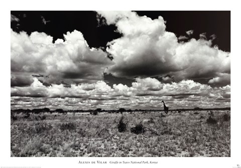 Framed Giraffe in Tsavo National Park, Kenya Print