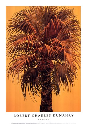 Framed La Jolla Print