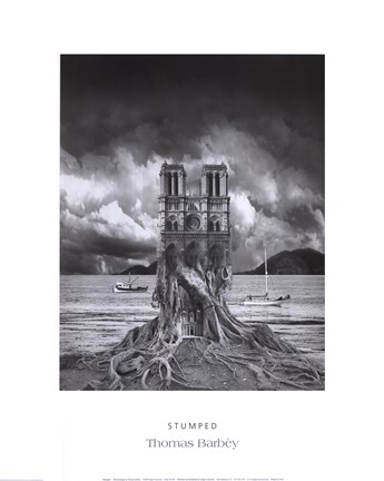 Framed Stumped Print