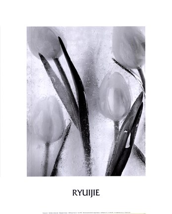 Framed Tulips on Ice Print