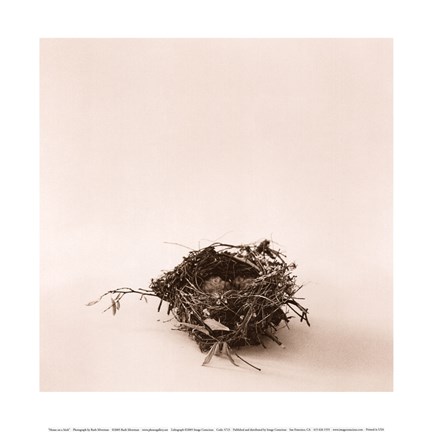 Framed Home on a Stick Print