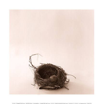 Framed la Curtis Print