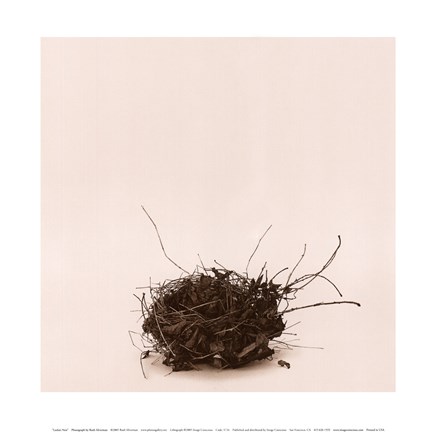 Framed Leebas Nest Print