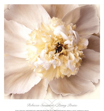 Framed Peony Praise Print