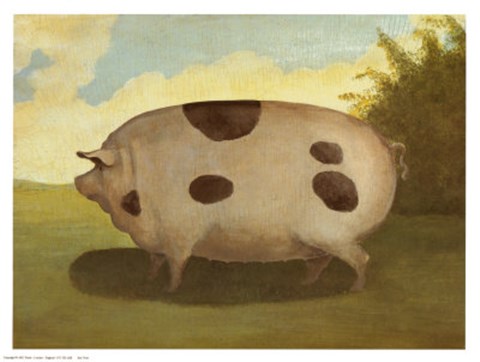 Framed Brown Pig Print