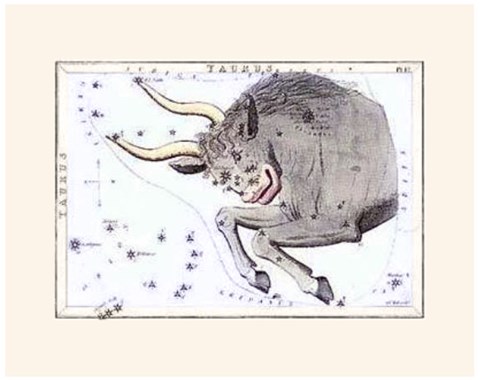 Framed Zodiac Symbols - Taurus Print