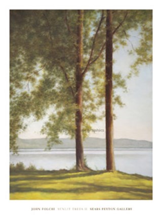 Framed Sunlit Trees II Print