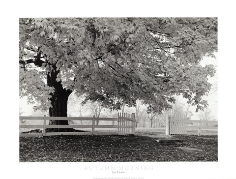 Framed Autumn Morning Print