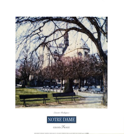 Framed Notre Dame Print