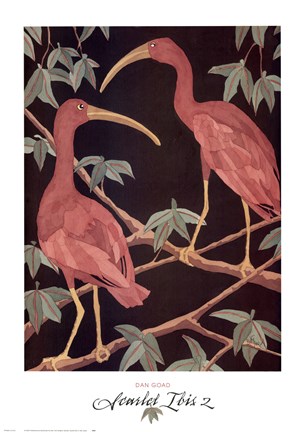 Framed Scarlet Ibis 2 Print
