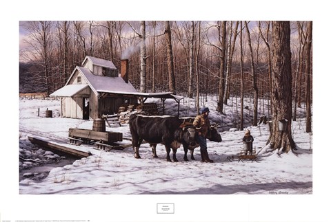 Framed Sugar Bush Print