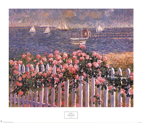 Framed Hyannis Port Roses Print
