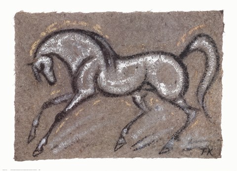 Framed Morning Star Print