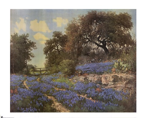 Framed Blue Bonnet Trail Print