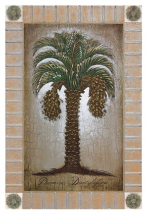 Framed Phoenix Dactylifera Print