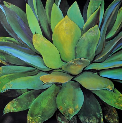 Framed Agave Print