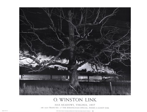 Framed Max Meadows, Virginia, 1957 / NW 1643 Train No. 17 The Birmingham Special Passes a Giant Oak Print