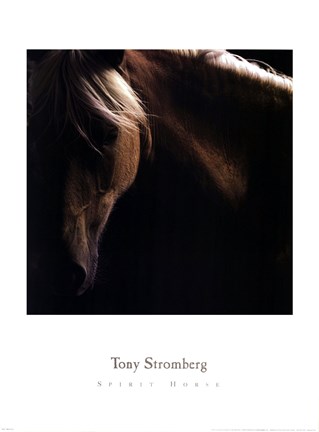 Framed Spirit Horse Print