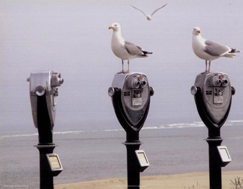 Framed Onlookers Print