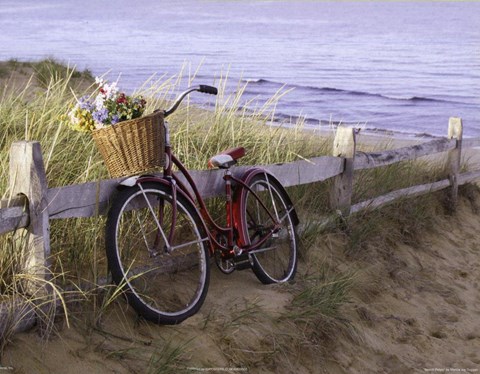 Framed Beach Petals Print