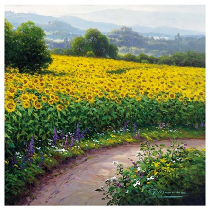 Framed FIELD OF SUNFLOWERS Print