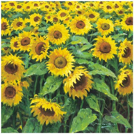 Framed FIELD OF MEMORIES I Print