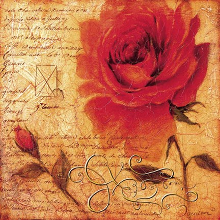 Framed ROMANTIC ROSE GALLERY - ROWENA Print