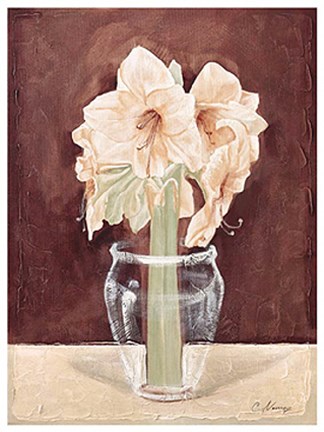 Framed Satin Glass Print