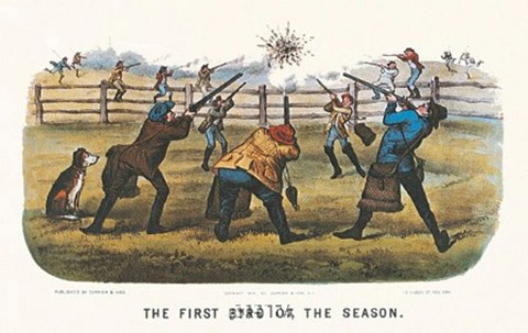 Framed First Bird of the Season Print