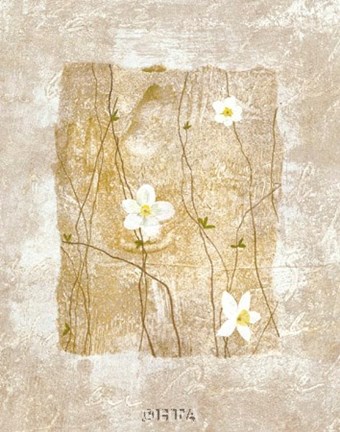 Framed Nature's Story I Print