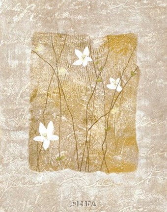 Framed Nature's Story II Print