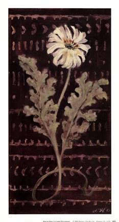 Framed African Daisy I Print