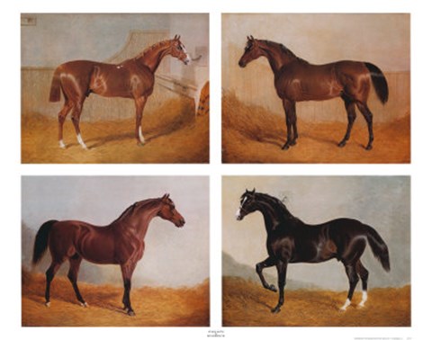 Framed Stable Mates (Set of Four) Print