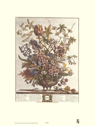 Framed February/Twelve Months of Flowers, 1730 Print