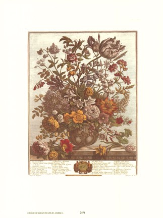 Framed May/Twelve Months of Flowers, 1730 Print
