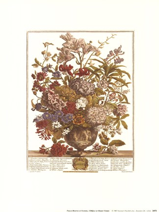 Framed July/Twelve Months of Flowers, 1730 Print
