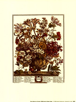 Framed October/Twelve Months of Flowers, 1730 Print