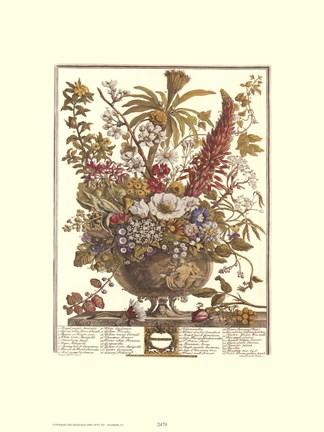 Framed December/Twelve Months of Flowers, 1730 Print