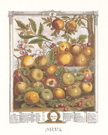 Framed May/Twelve Months of Fruits, 1732 Print