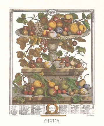 Framed June/Twelve Months of Fruits, 1732 Print