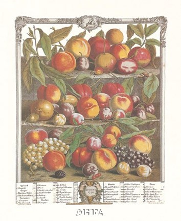 Framed August/Twelve Months of Fruits, 1732 Print