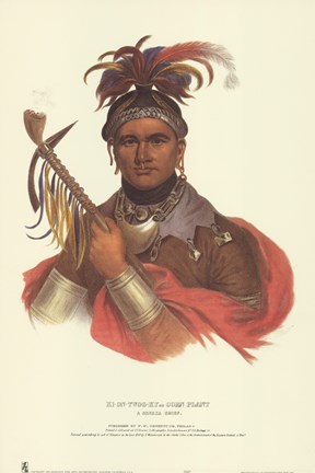 Framed Ki-On-Twog-Ky, or Corn Plant Print