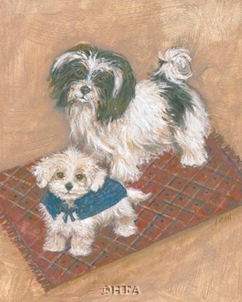 Framed Kyo Leo Maltese Print