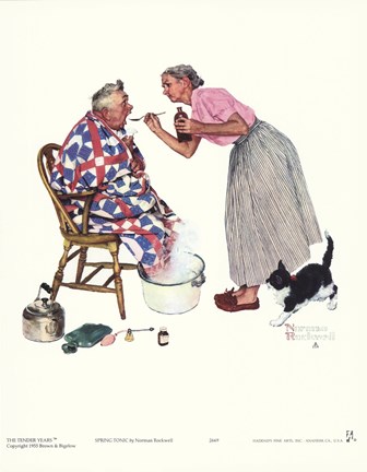 Framed Spring Tonic Print