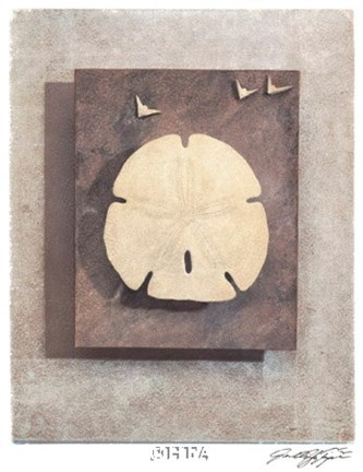 Framed Seashell Study I Print