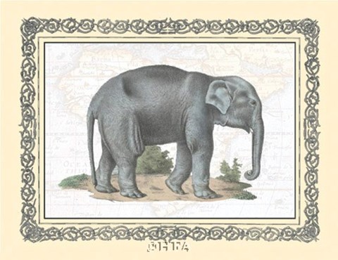 Framed Elephant Print