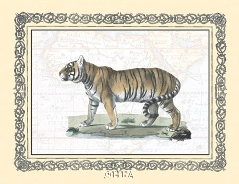 Framed Tiger - patterned frame Print