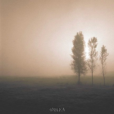 Framed Bordeaux Trees Print