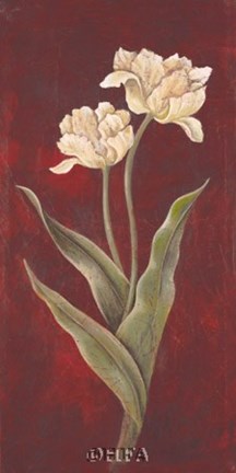 Framed Tulips on Cinnabar I Print