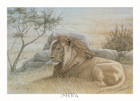 Framed Golden Lion Print